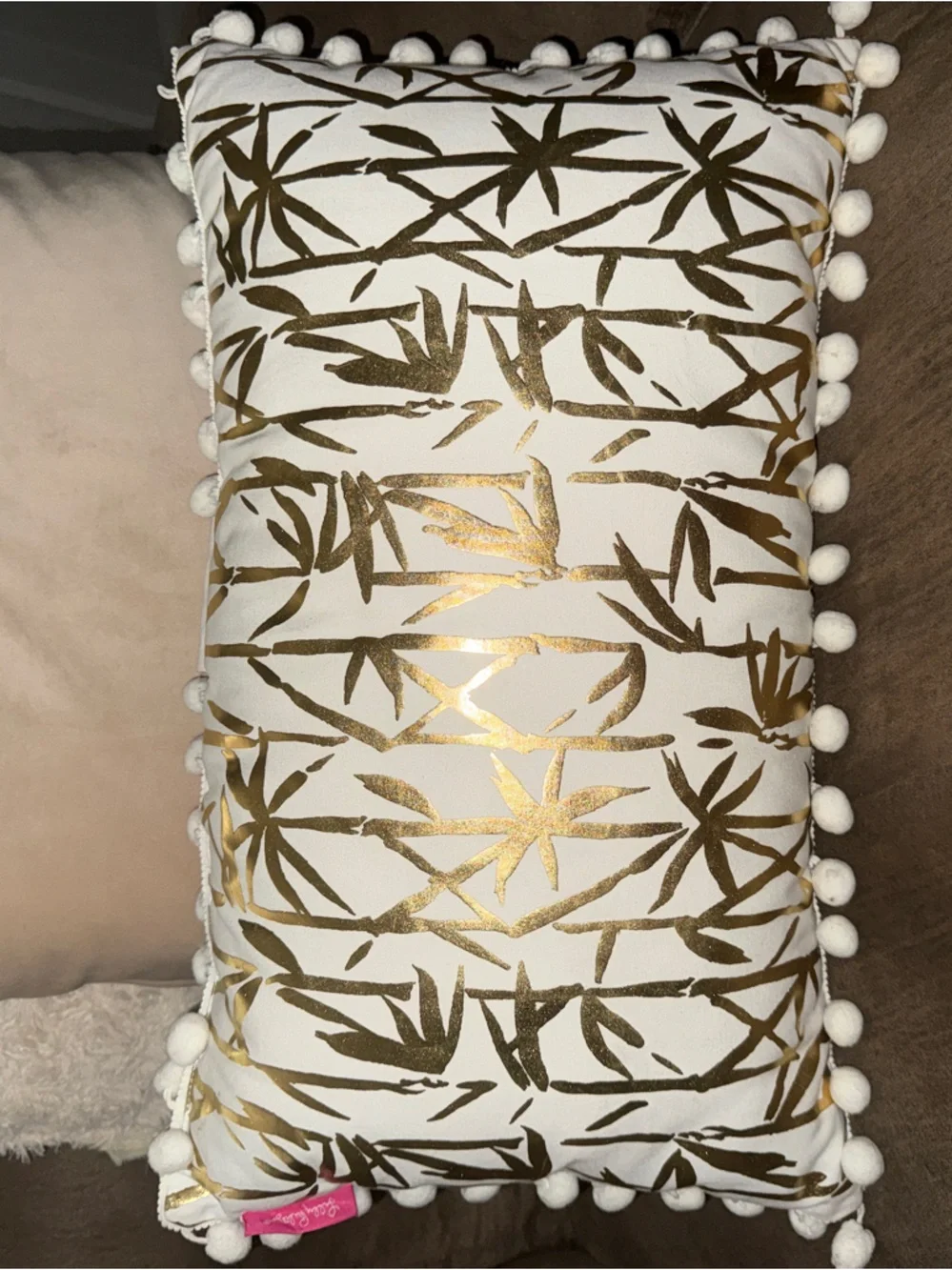 Reversible Lily Pulitzer pillow